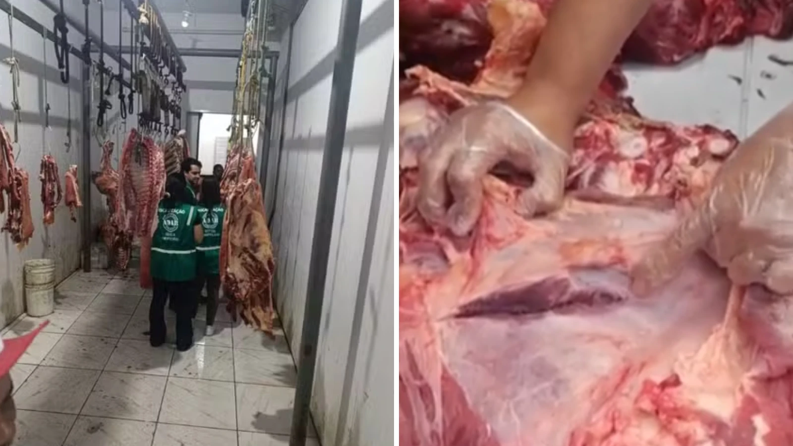 Cem quilos de carnes infectadas são apreendidos em cidade baiana
