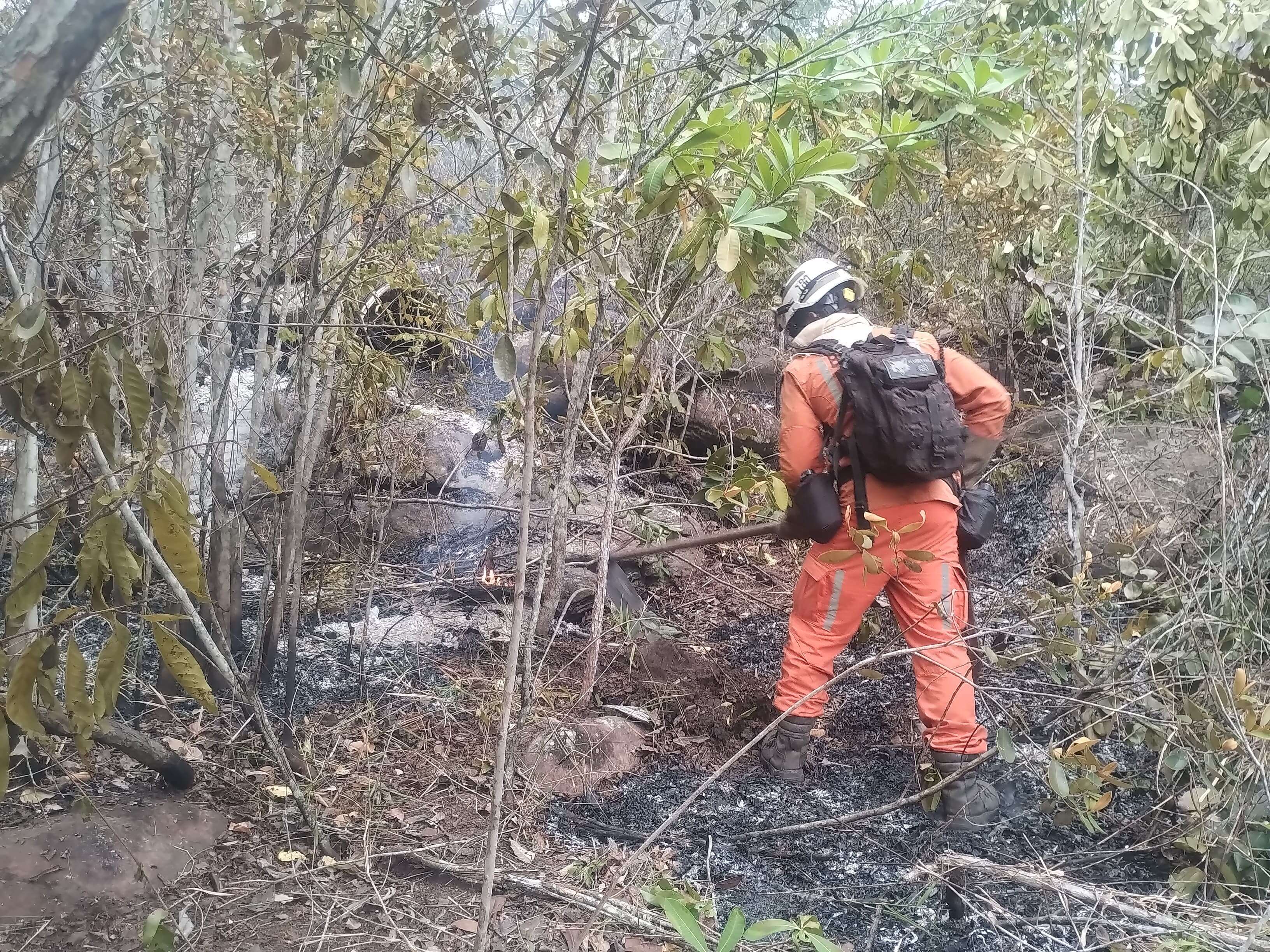 Bombeiros combatem incêndios florestais na Chapada Diamantina