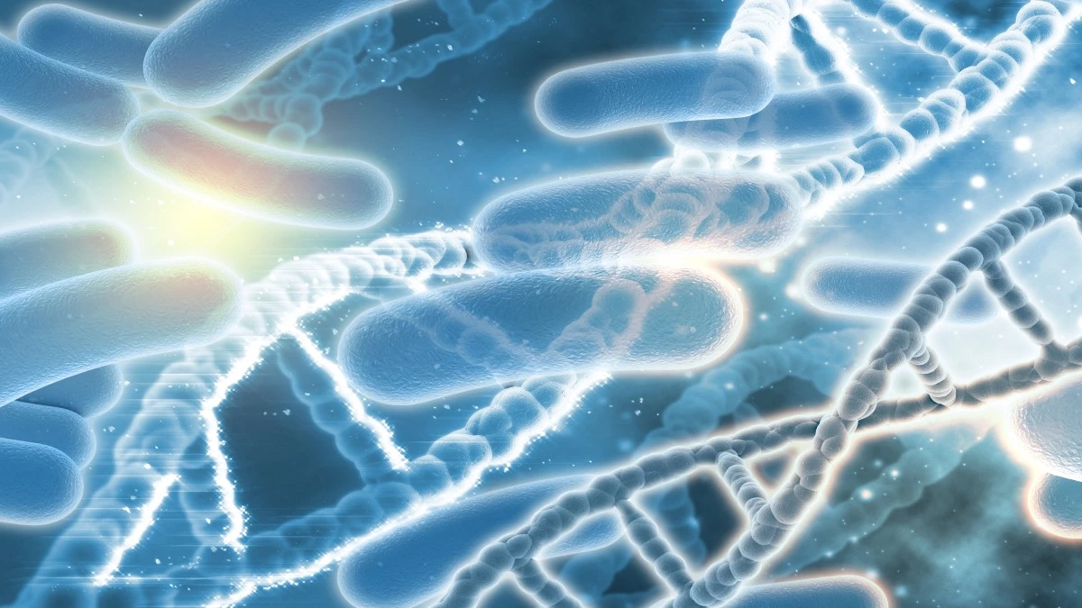 Bactérias super-resistentes podem matar 39 milhões até 2050, alerta estudo