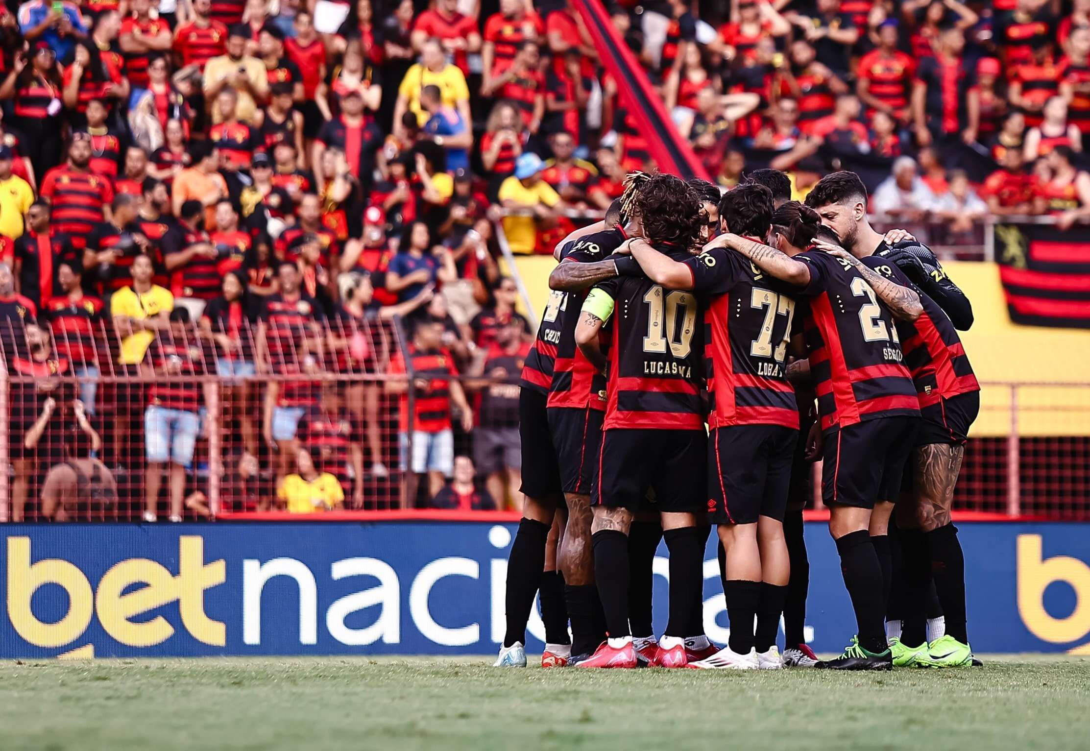 Nova pesquisa aponta o Sport como clube de maior torcida do Nordeste; Bahia fica em segundo