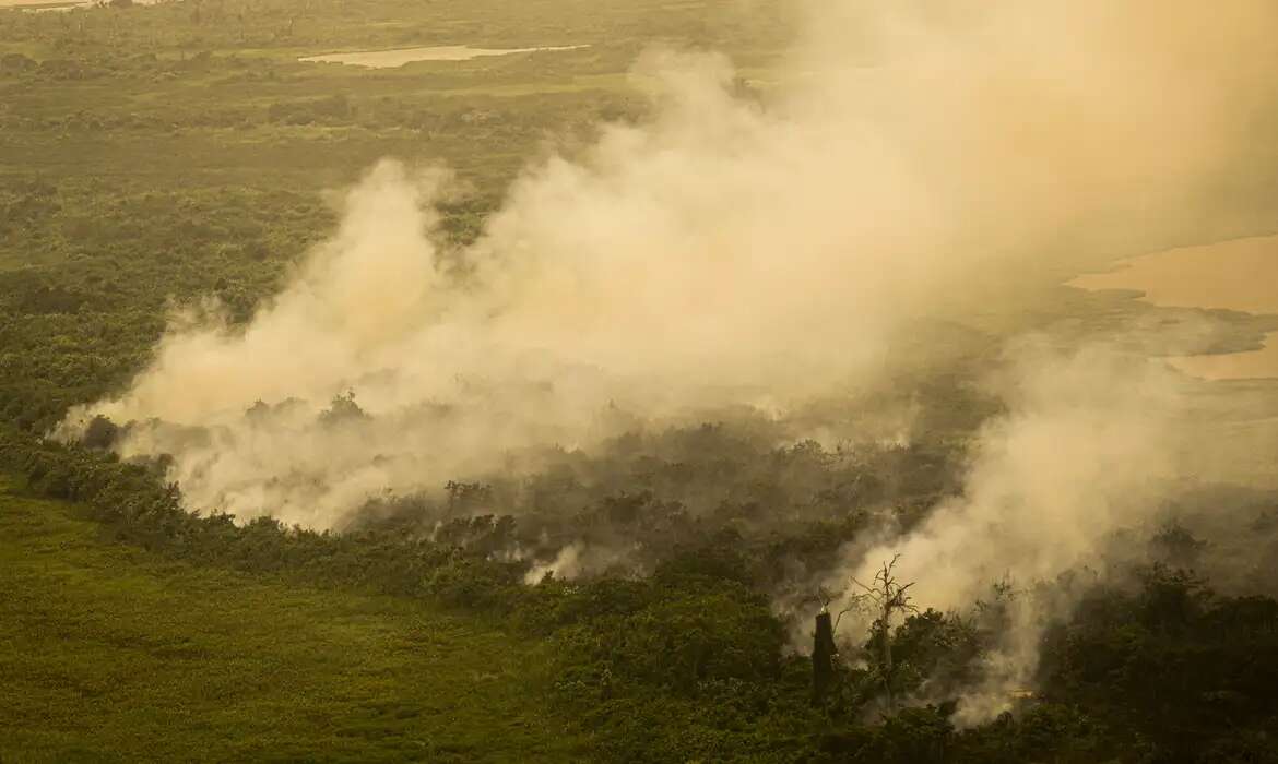 Brasil tem 22,38 milhões de hectares atingidos pelo fogo em nove meses