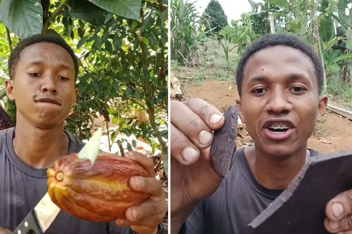 Influenciador baiano ensina a fazer chocolate do zero: 'Chocolovers bruto'