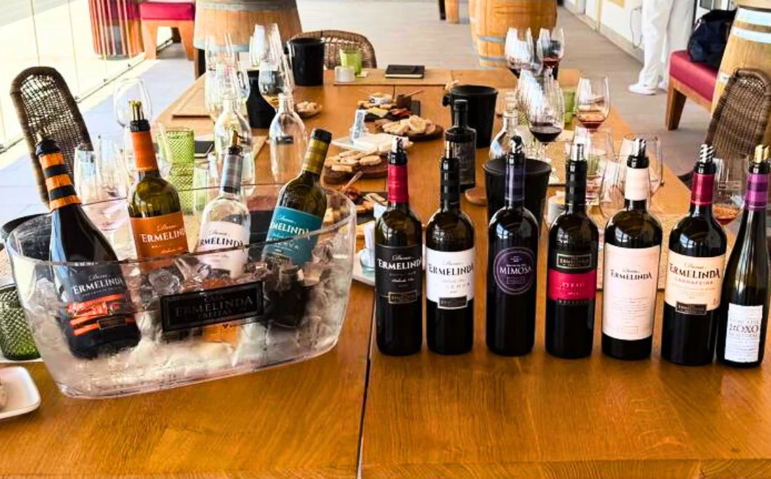 Conheça o 'parque de diversões' feito para quem é apaixonado por vinho
