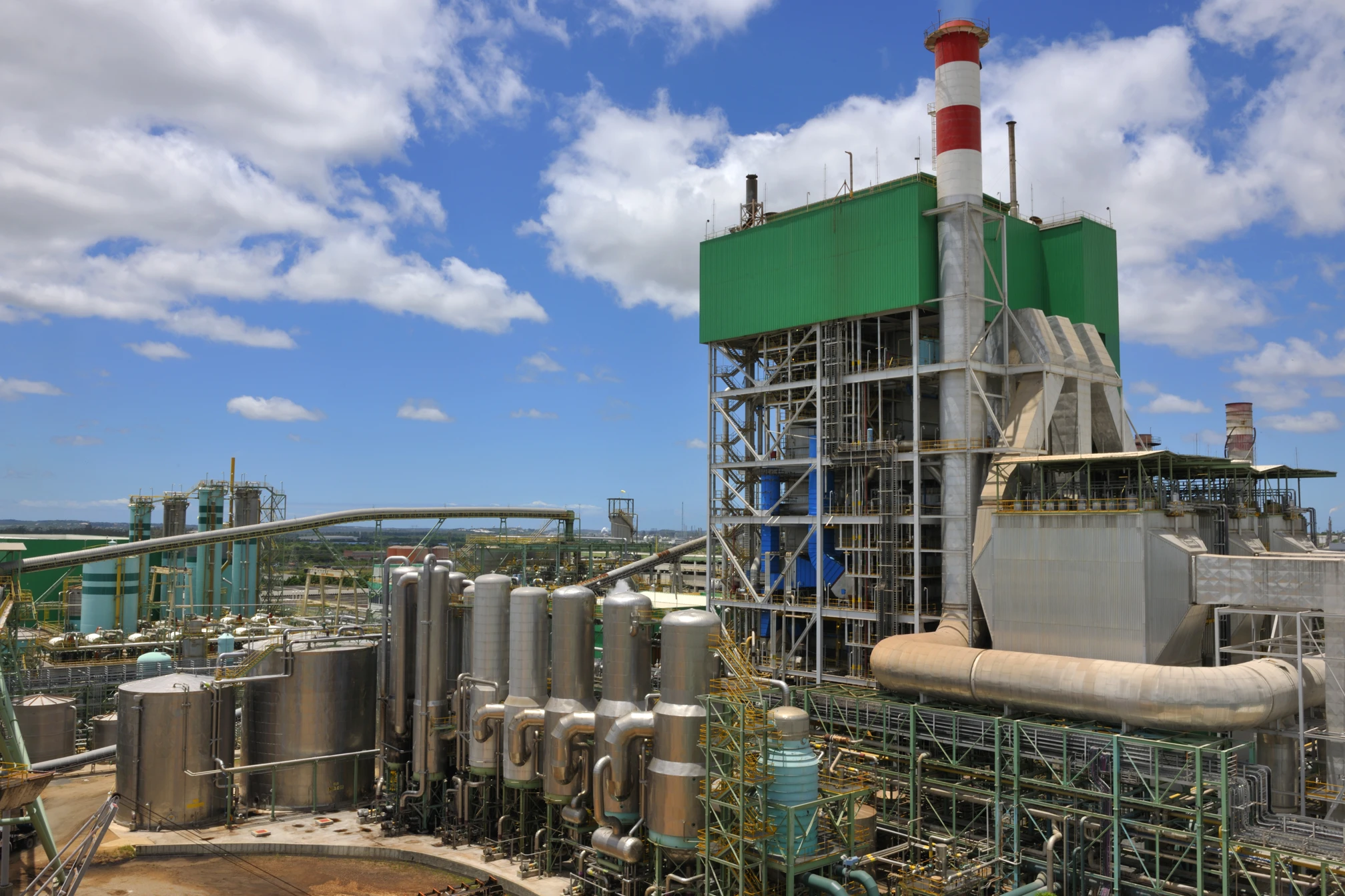 Salários de R$ 7,5 mil: inscrições para programa de trainee da Bracell terminam nesta quinta (13)