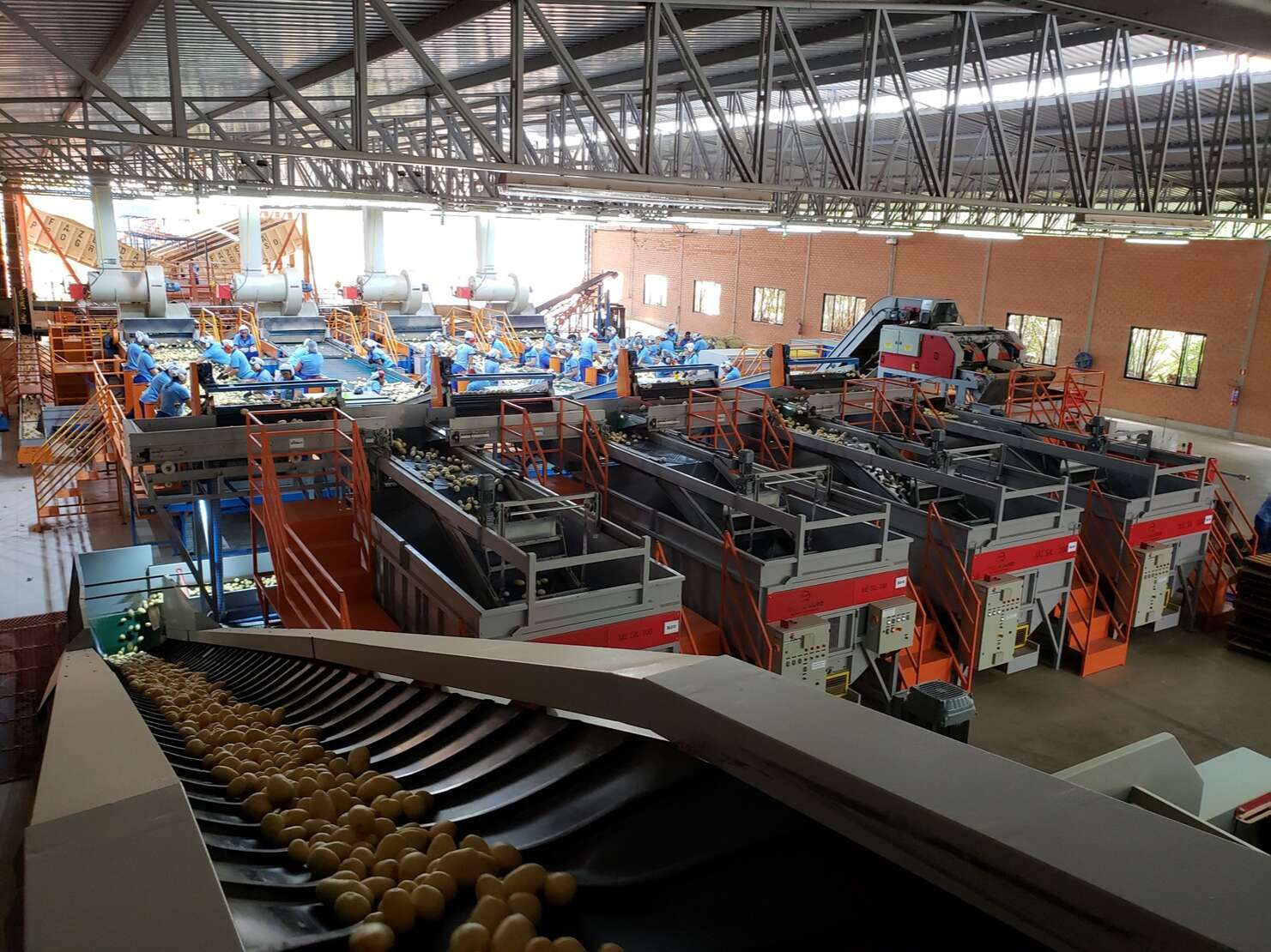 Diamantes, café e vinhos: novas empresas abrem caminho para vida no interior da Bahia