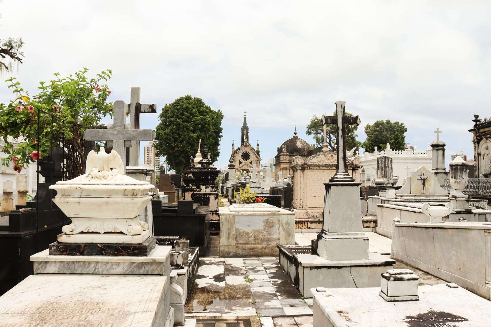 Dia de Finados: confira 12 personalidades que estão sepultadas em Salvador