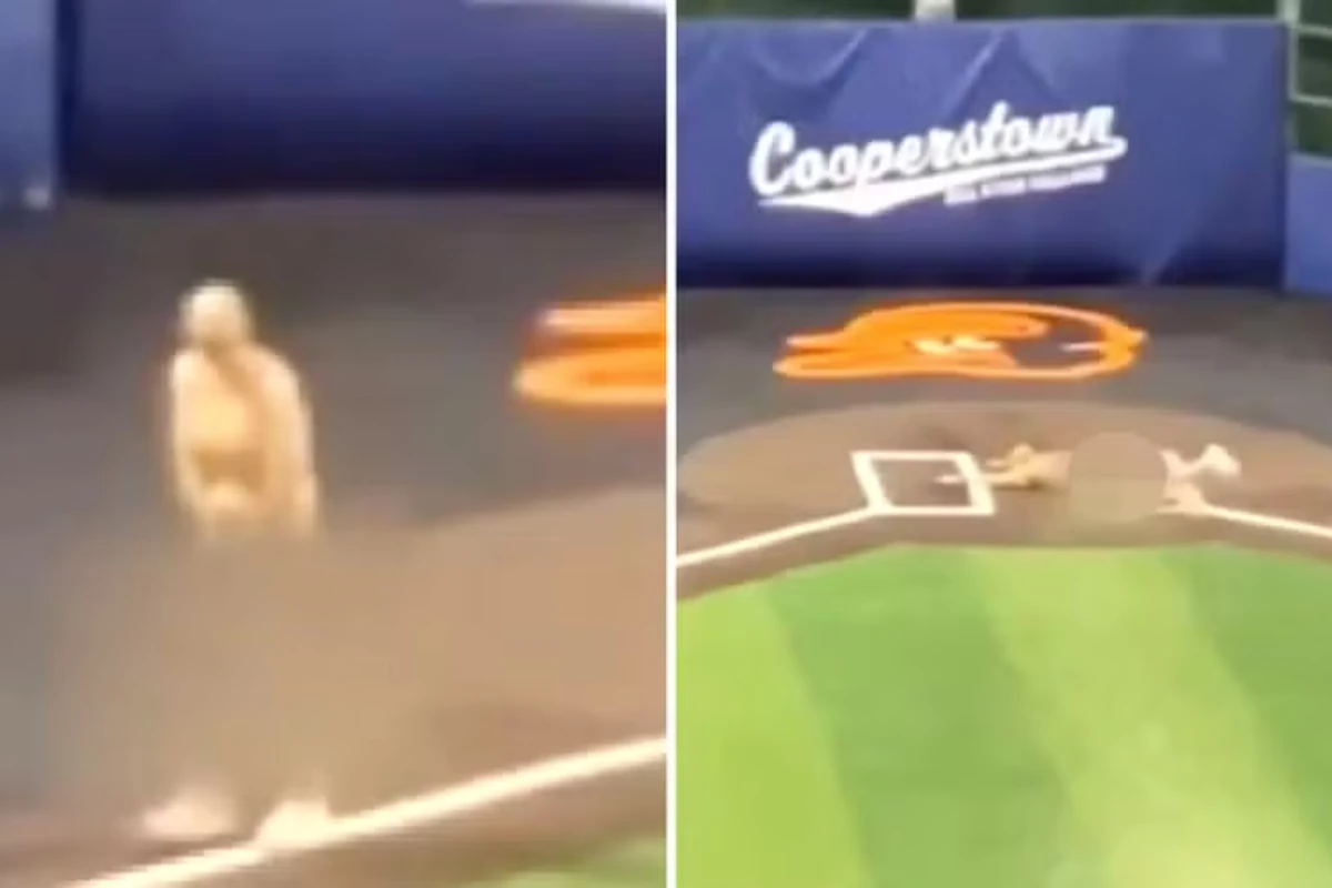 Treinadores de time juvenil de beisebol são demitidos após correrem nus durante torneio