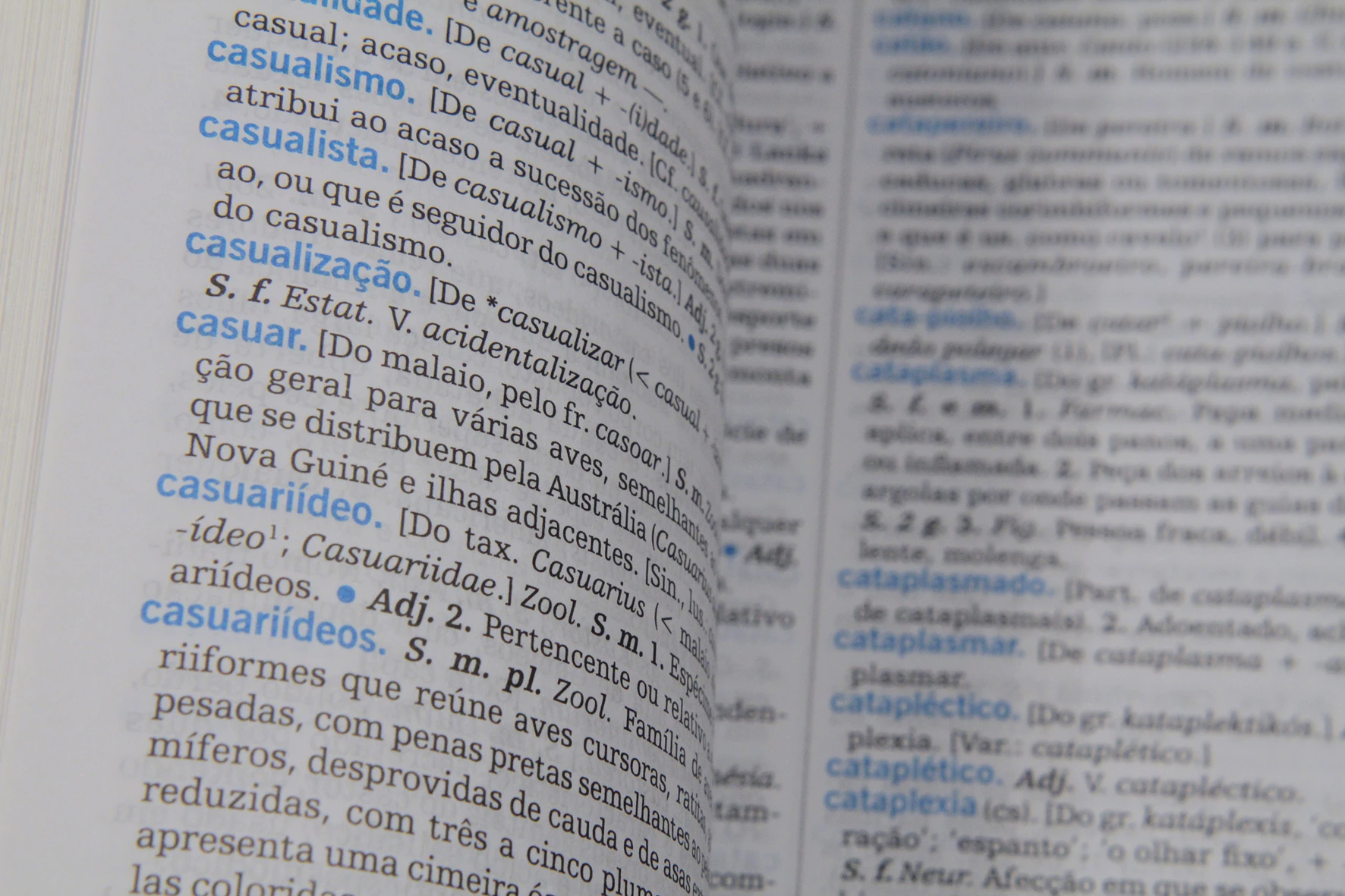 A maior palavra da língua portuguesa e sua curiosa origem