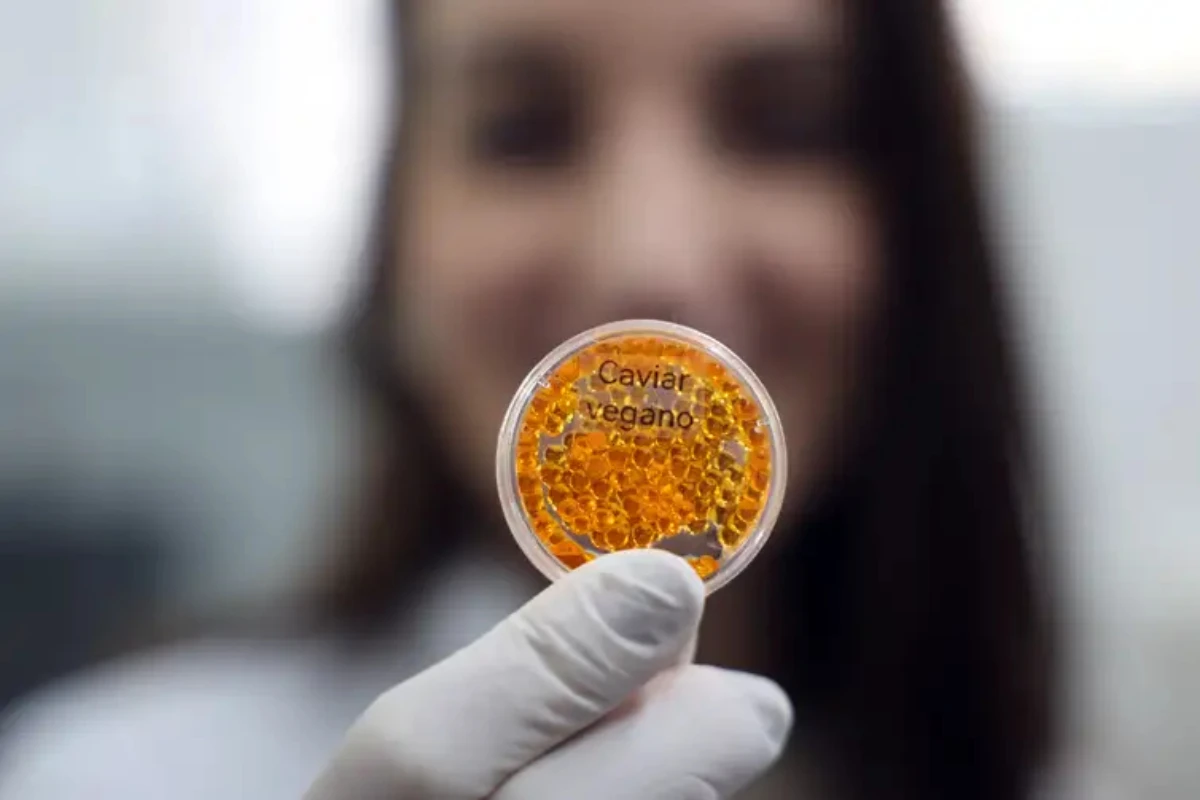 Salmão, caviar e lula feitos em laboratório: conheça a nova aposta da Embrapa