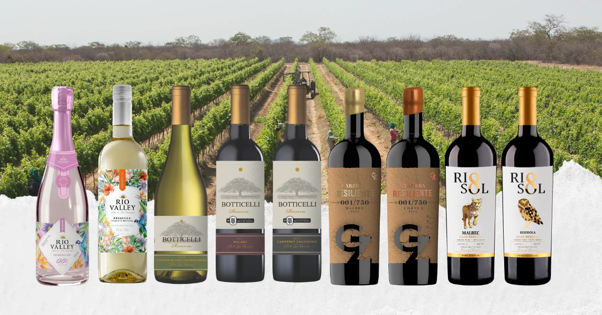 10 vinhos do Vale do São Francisco para degustar na ProWine São Paulo