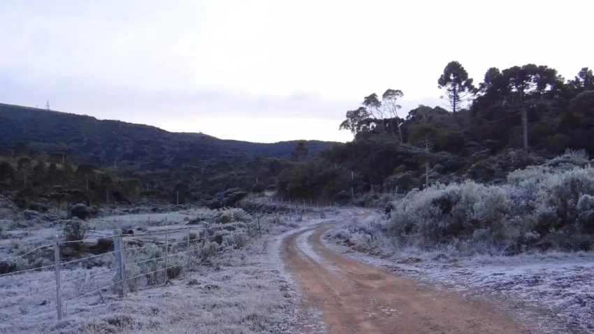 Neve no Brasil? Primeiro grande frio do ano deve ocorrer em breve