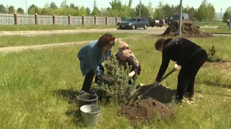 «Таза Казақстан»: более 20 тыс. саженцев высадили в области Жетісу