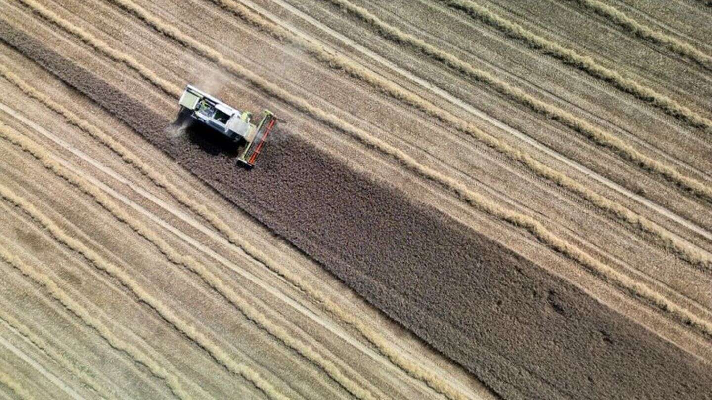 Klimaschutz: Studie: Landwirtschaft könnte Treibhausgase stark reduzieren