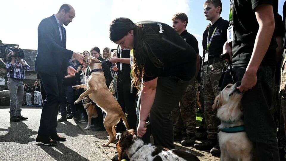 Prinz William Der Royal und seine Liebe zu Hunden