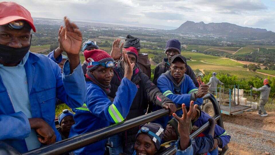 Farmarbeiter So werden Migranten in Südafrika ausgebeutet: 