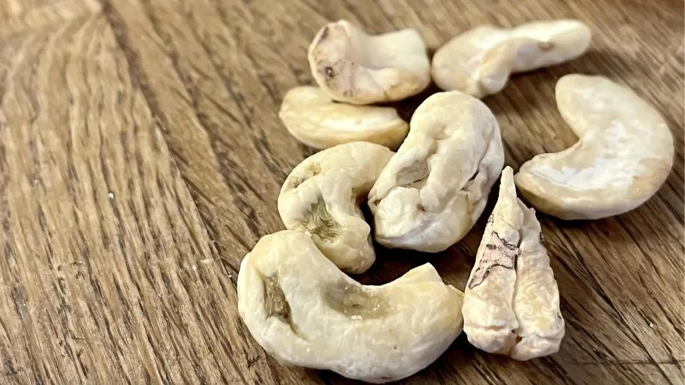 Schimmelbefall Kann man die noch essen? So erkennen Sie faule Nüsse