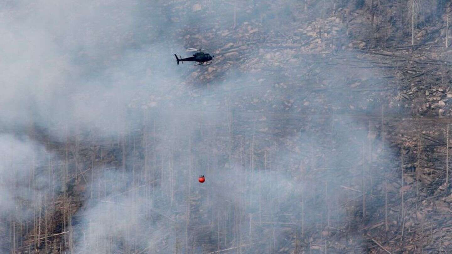 Waldbrand am Brocken: Einsatzkräfte hoffen auf Wetterwechsel am Brocken