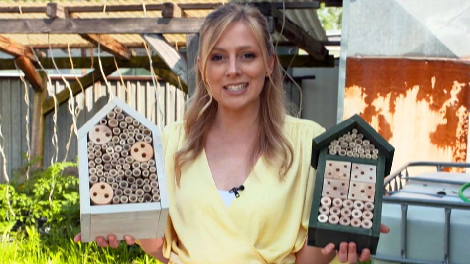 Reporterin macht den Test: Wie Sie mit Insektenhotels Bienen vor dem Aussterben retten können