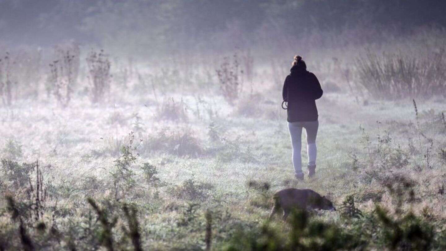 Wettervorhersage: Ergiebiger Dauerregen im Südosten teils bis Montag