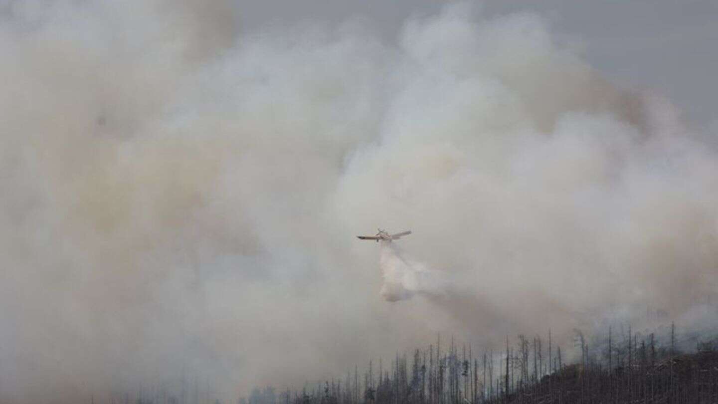 Feuer: Waldbrand im Harz - 500 Menschen werden vom Brocken geholt