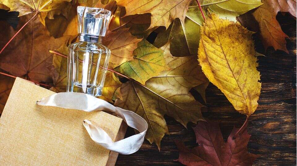 Parfum und Eau de Toilette Würzig und opulent: Diese Düfte sind ideal für Herbst und Winter