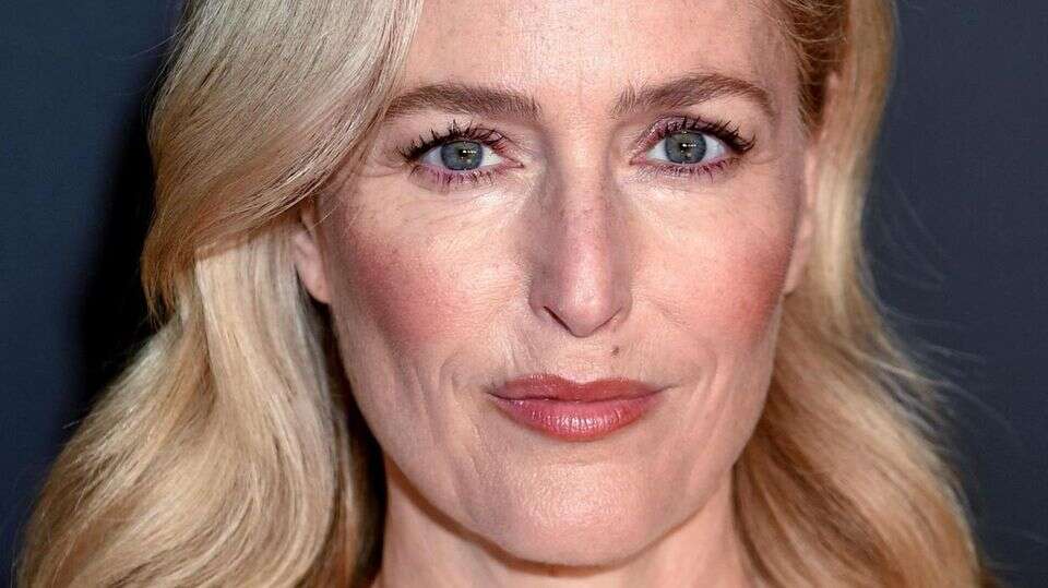 Pornos zum Lesen Was turnt Frauen an? Gillian Anderson gibt Antworten