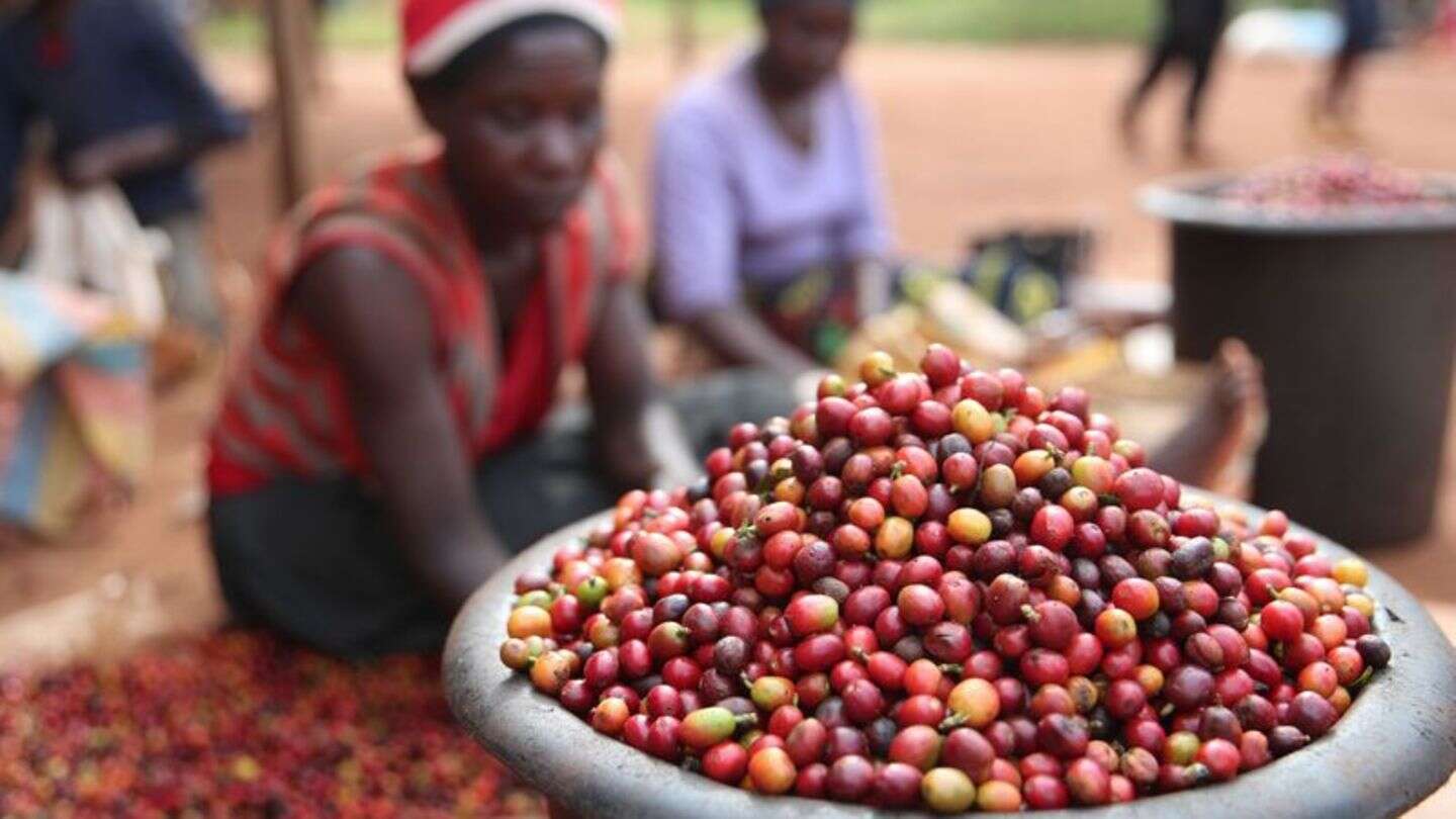 Globalisierung: WTO: Welthandel allein hilft nicht gegen Armut