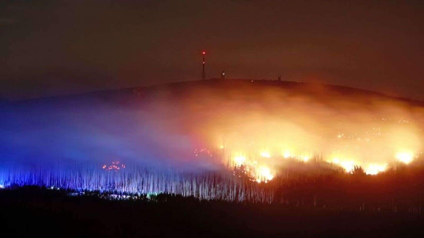 Feuer: Waldbrände am Brocken: Feuer auf 1000 Metern Länge