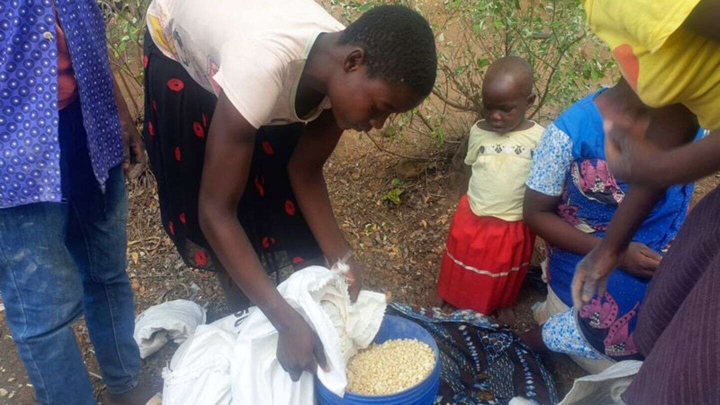 Hunger: Schwerste Hungerkrise seit Jahrzehnten im südlichen Afrika