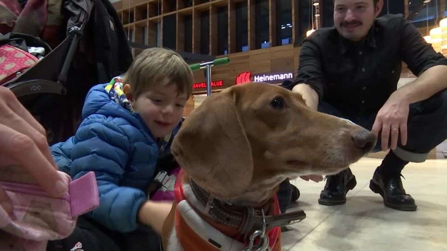Video: Hunde gegen Reisestress - BER macht's möglich