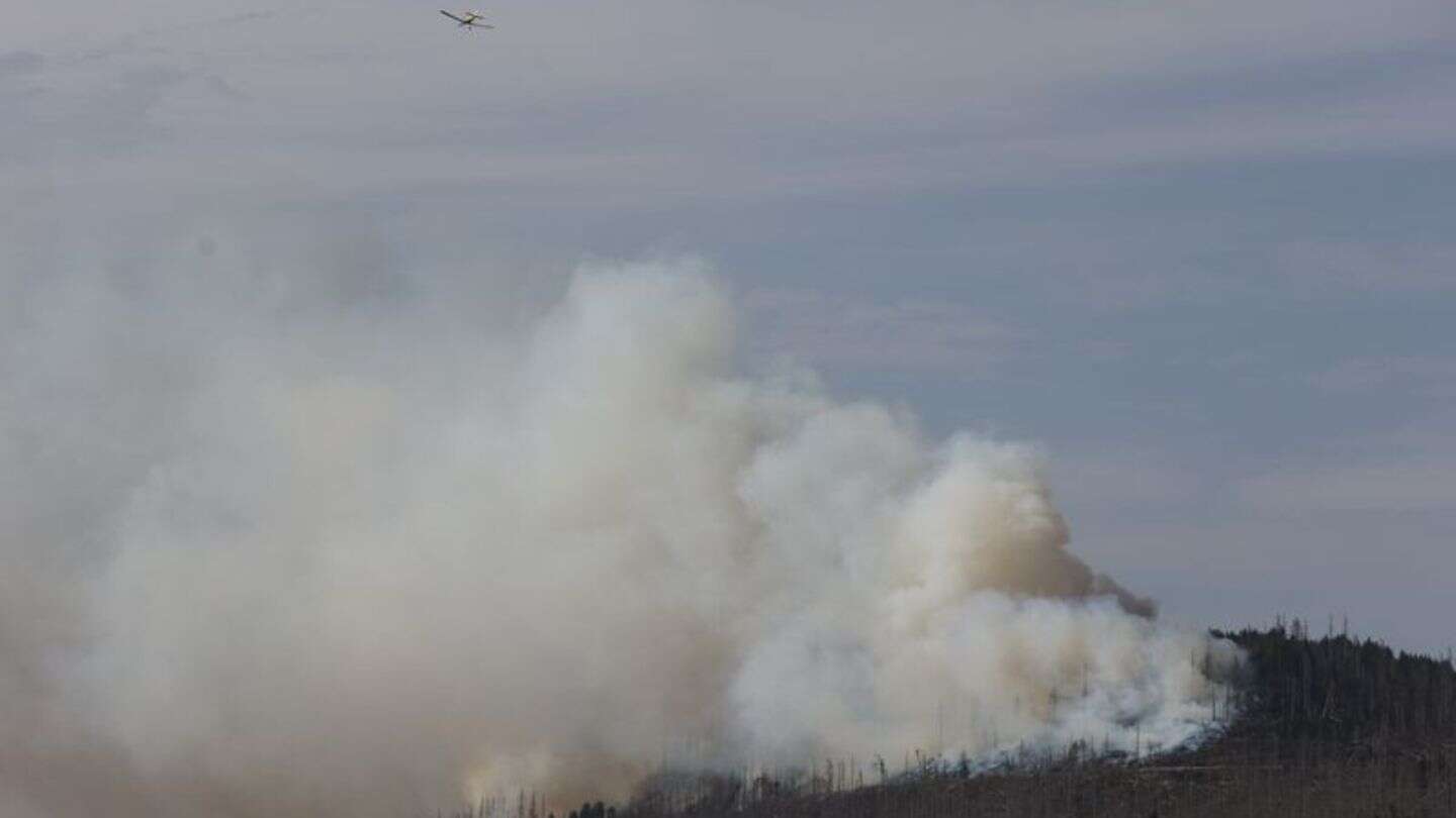 Waldbrand: Feuer am Brocken im Harz - Löscharbeiten gehen weiter