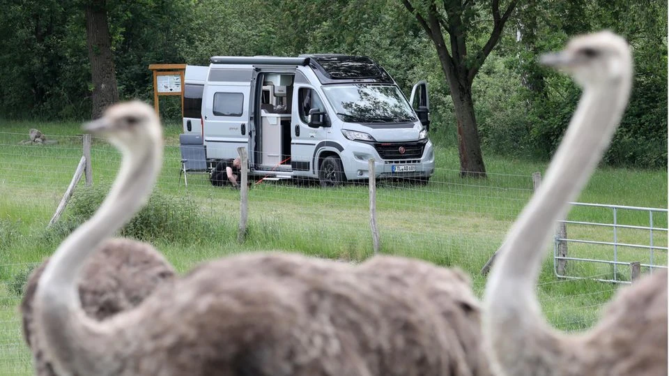 Caravan-Stopp bei Bauern und Winzern – mit Straußen- oder Rhein-Blick