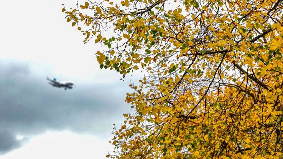 Vorhersage Erst trocken, dann gebietsweise Schauer bis Gewitter – so wird das Wetter am Montag