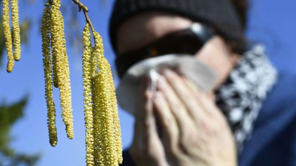 Lästige Allergie Heuschnupfen oder Erkältung? So erkennen Sie den Unterschied