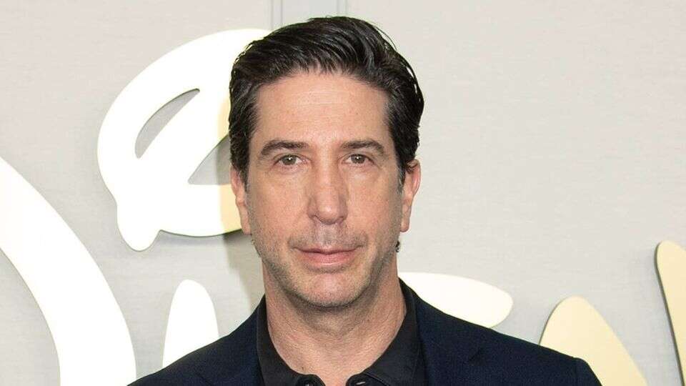 David Schwimmer 