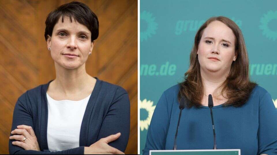 Schlagabtausch auf X Ricarda Lang reagiert auf Abtreibungsfrage von Frauke Petry