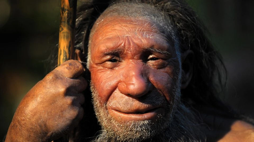 Neu entdeckter Ur-Mensch weckt Zweifel an Neandertaler-Theorie