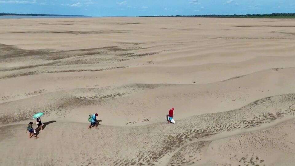 Dürre in Brasilien Weltgrößtes Flussgebiet gleicht einer Wüste: 