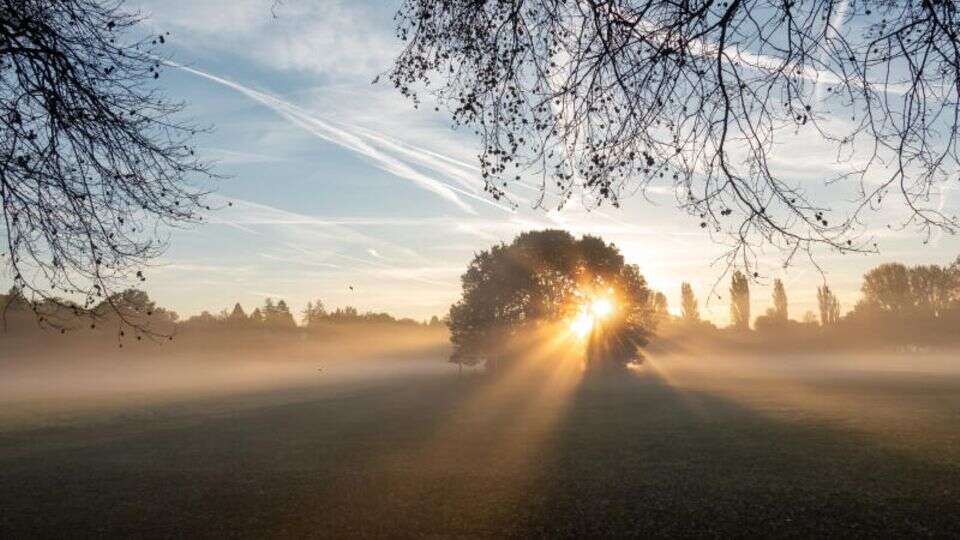 Vorhersage Der goldene Oktober hält Einzug – so wird das Wetter am Mittwoch