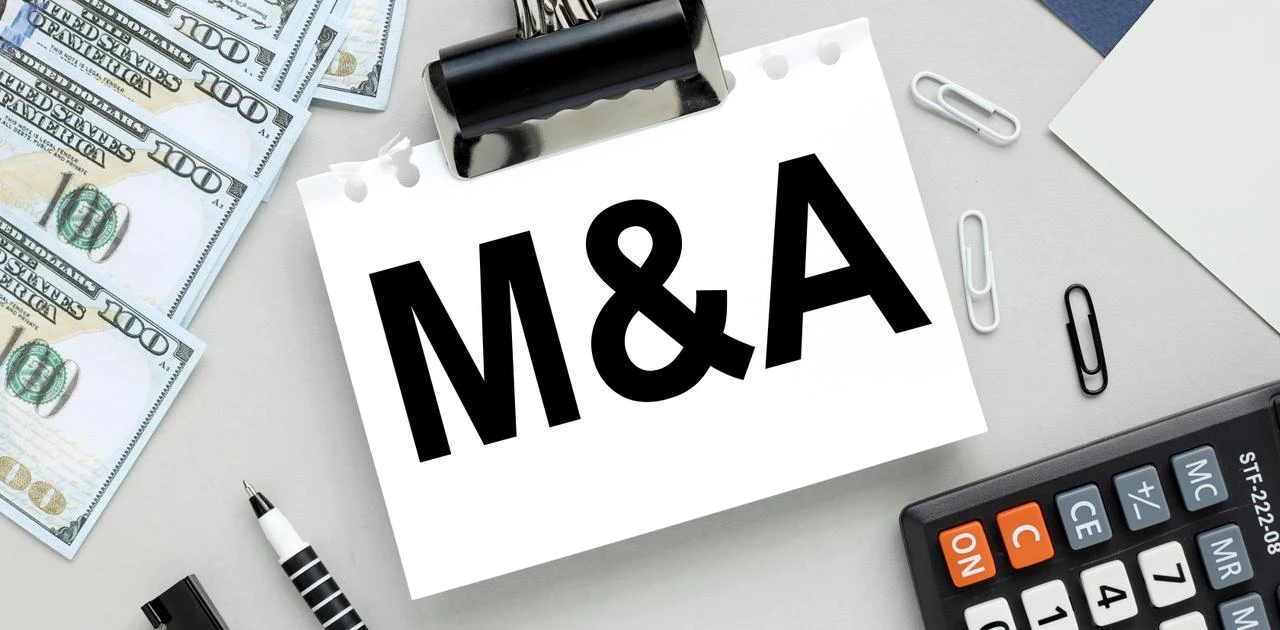 高値掴みにPMI失敗....M&A失敗フラグ防ぐには。専門家が語る回避策