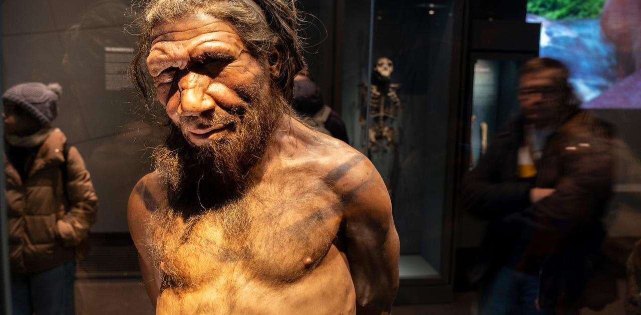 ネアンデルタール人絶滅の理由は「孤立」「小規模な集団」かもしれない