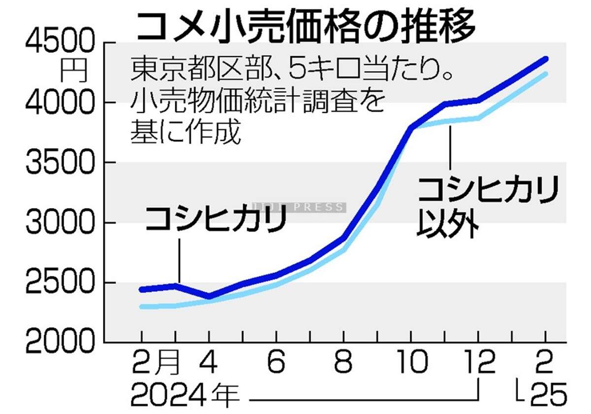 コメ先高観、根強く＝備蓄米放出効果は不透明