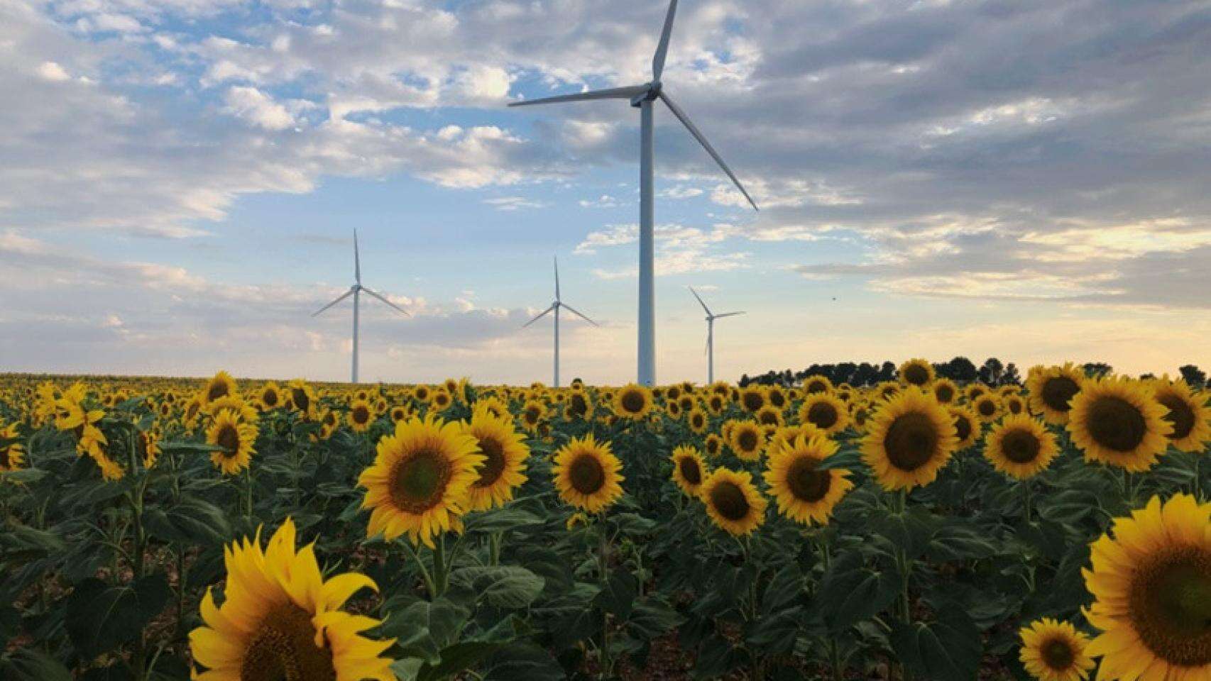 Iberdrola repotenciará sus primeros cuatro parques eólicos y elevará su producción un 30%