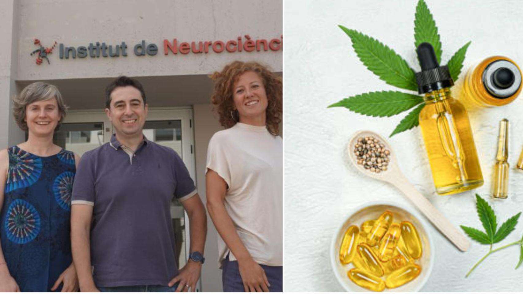 Un equipo de científicos de España logra que se utilice la marihuana para tratar esta enfermedad rara