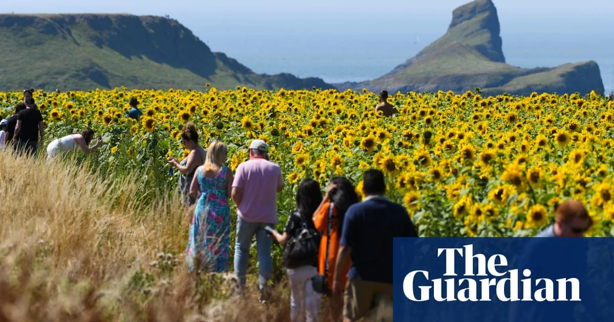 Nature’s ghosts: how reviving medieval farming offers wildlife an unexpected haven