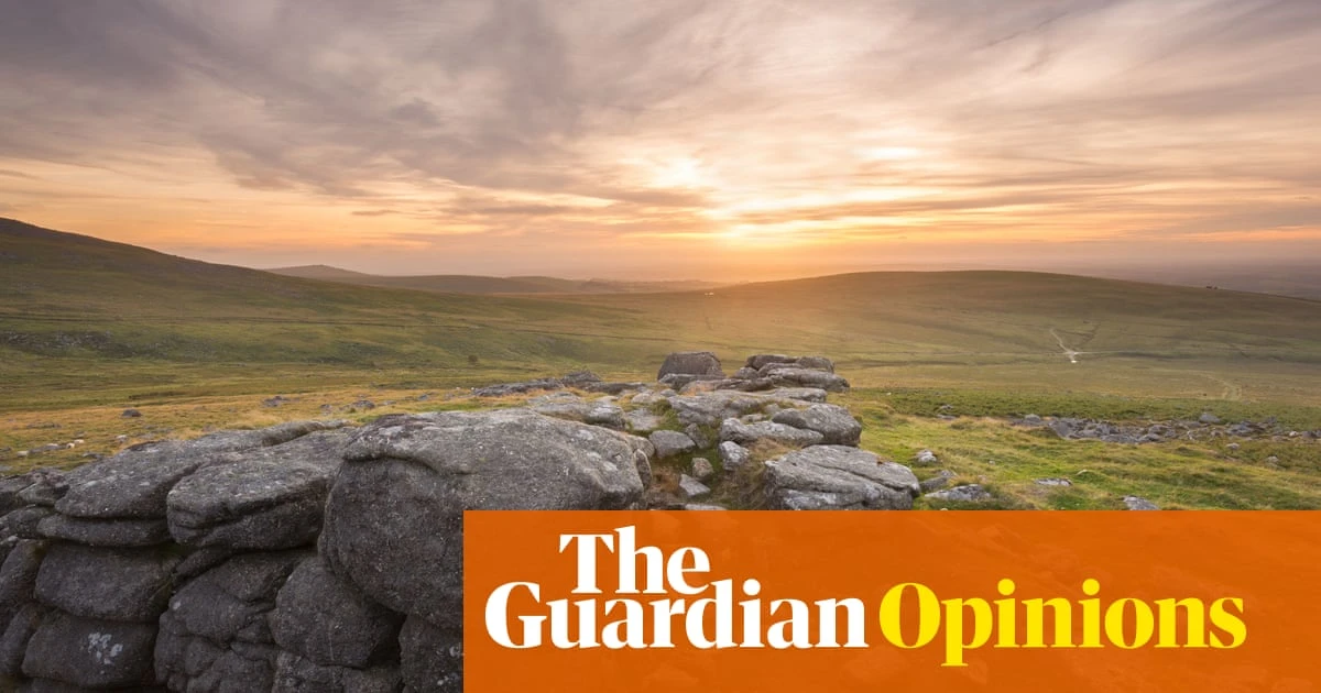 Sheep are destroying precious British habitats – and we taxpayers are footing the bill | Chris Packham