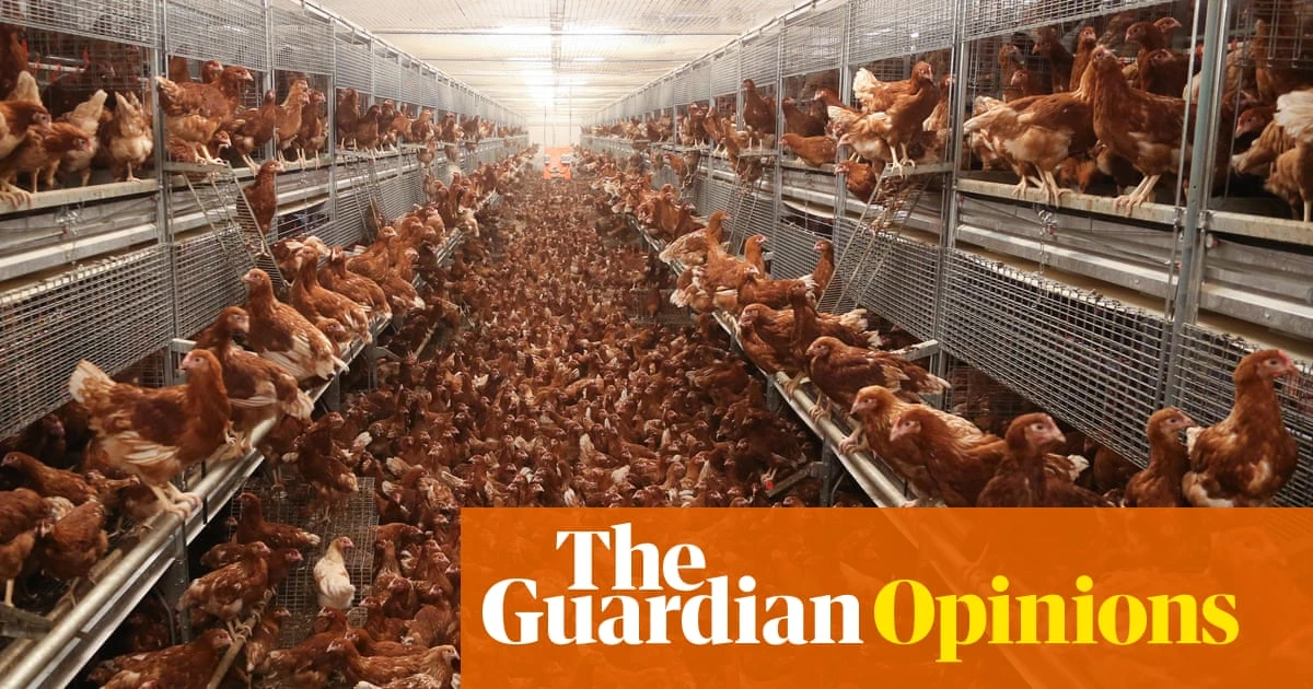 At last, a victory for rivers over megafarms: now councils can’t treat toxic waste as someone else’s problem | Charles Watson