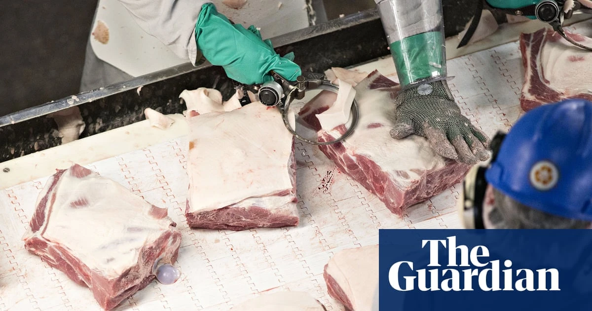 ‘They’re killing you’: US poultry workers fear faster lines will lead to more injury