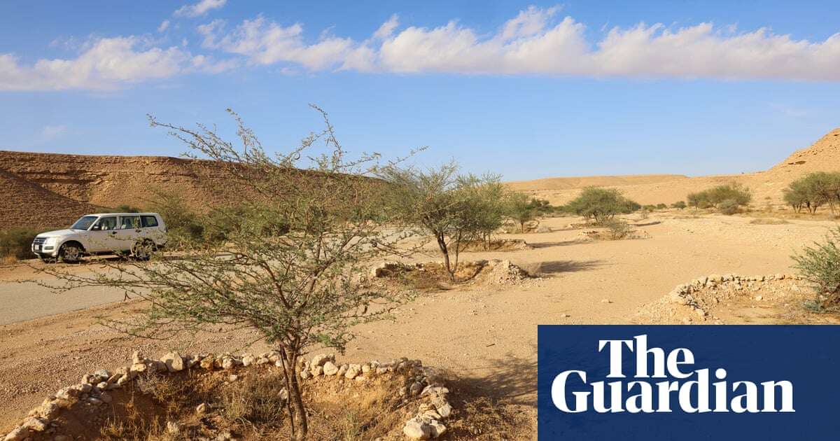 Land degradation expanding by 1m sq km a year, study shows