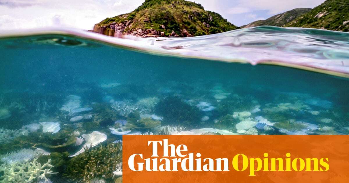 Bill Maher puts the fate of the Great Barrier Reef in the spotlight – but do the claims stack up? | Temperature Check